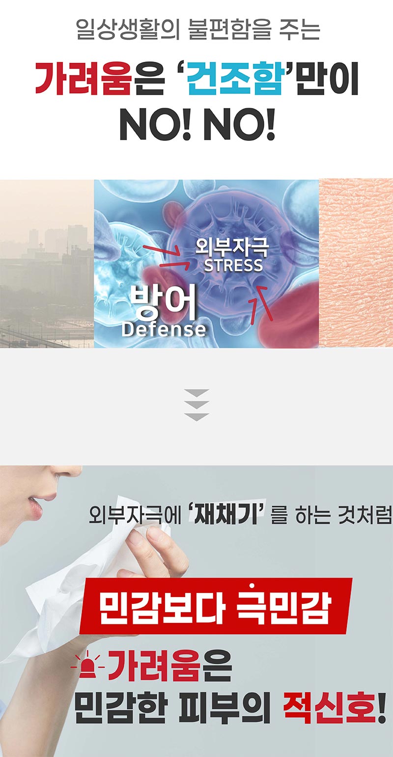 이미지 내 텍스트 내용 삽입