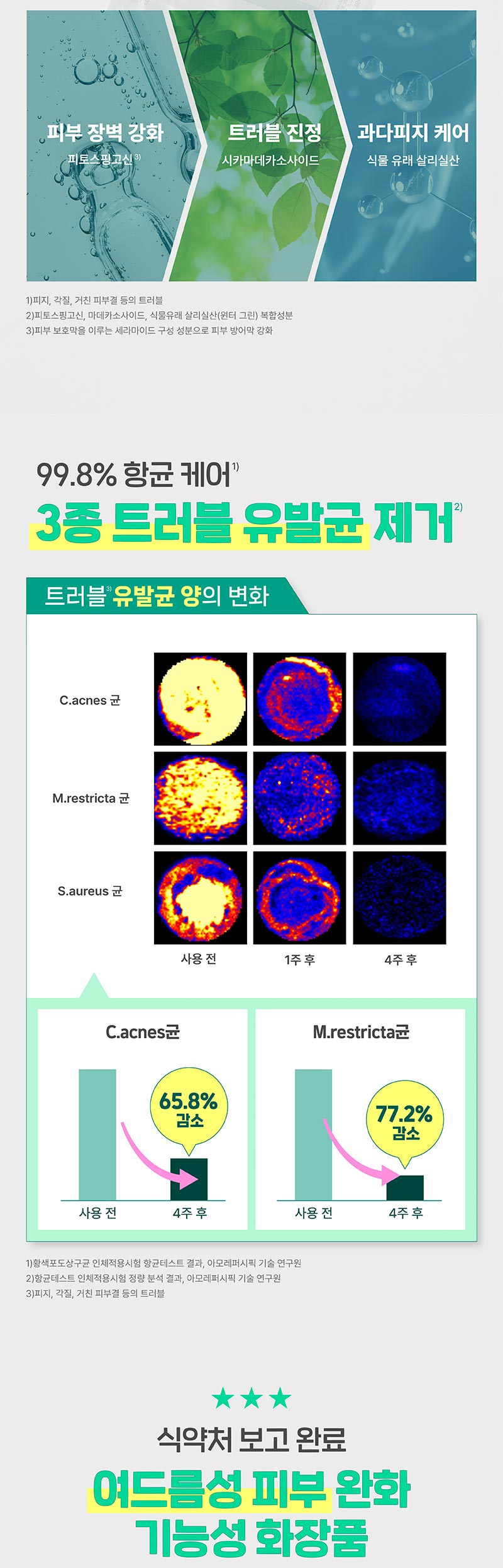 이미지 내 텍스트 내용 삽입