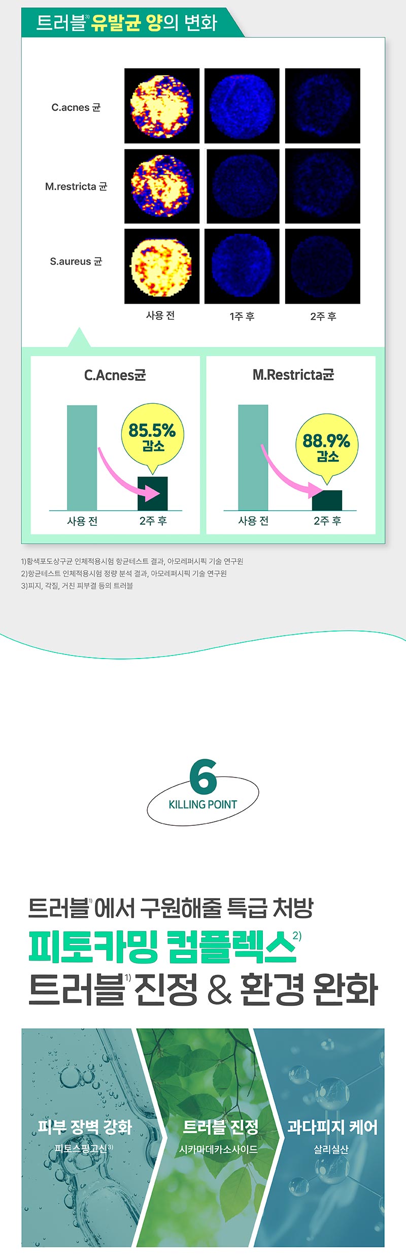 이미지 내 텍스트 내용 삽입
