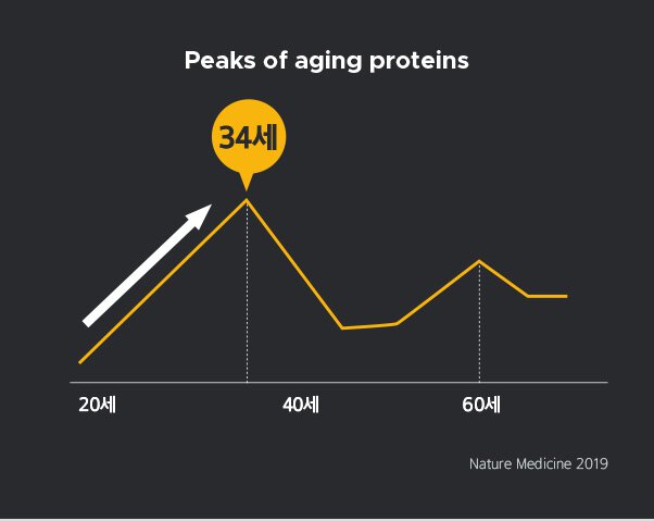 20~60세 중 peaks of aging proteins 34세 / Nature Medicine 2019