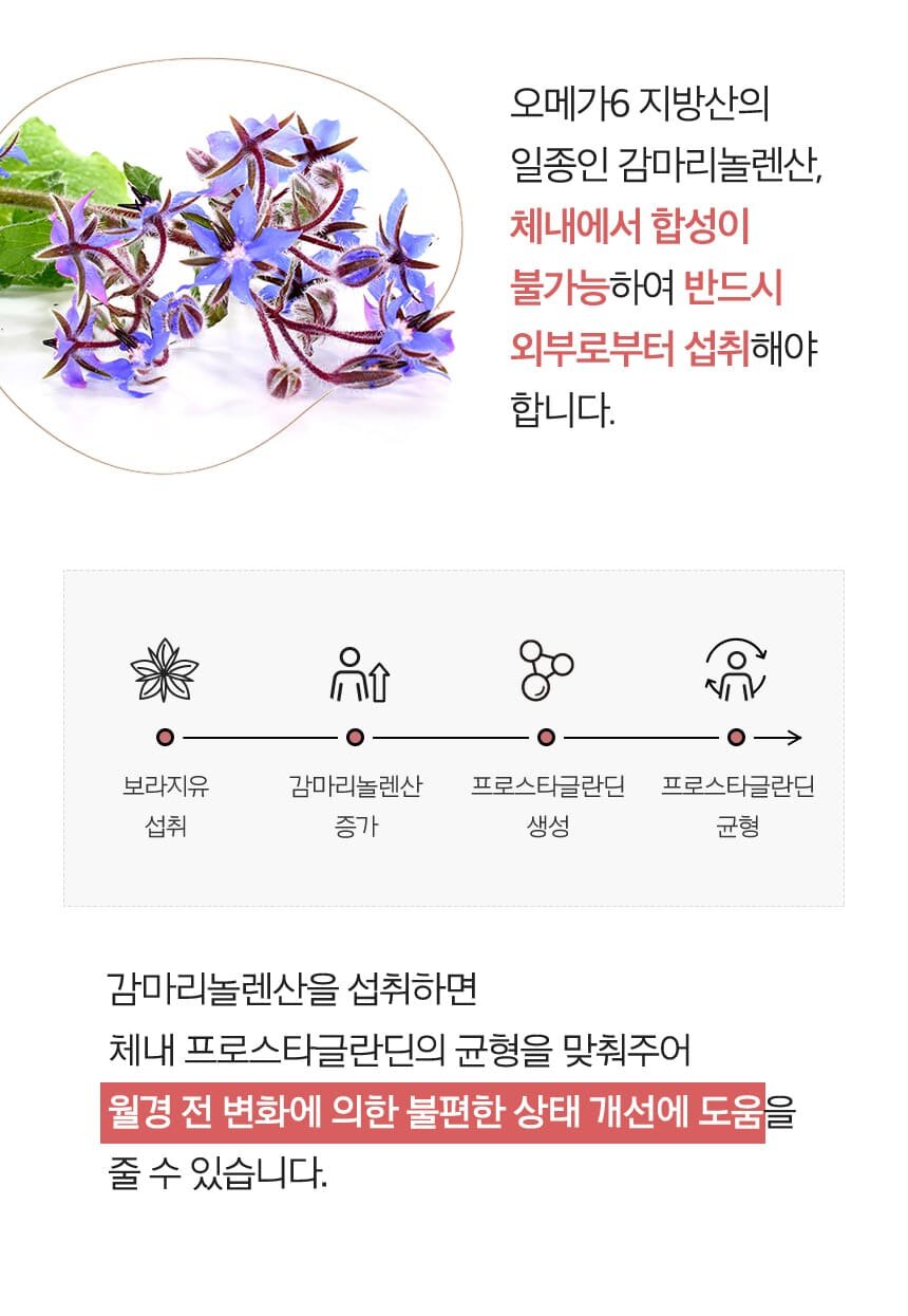 보라지유 꽃과 섭취후 몸의 변화 설명