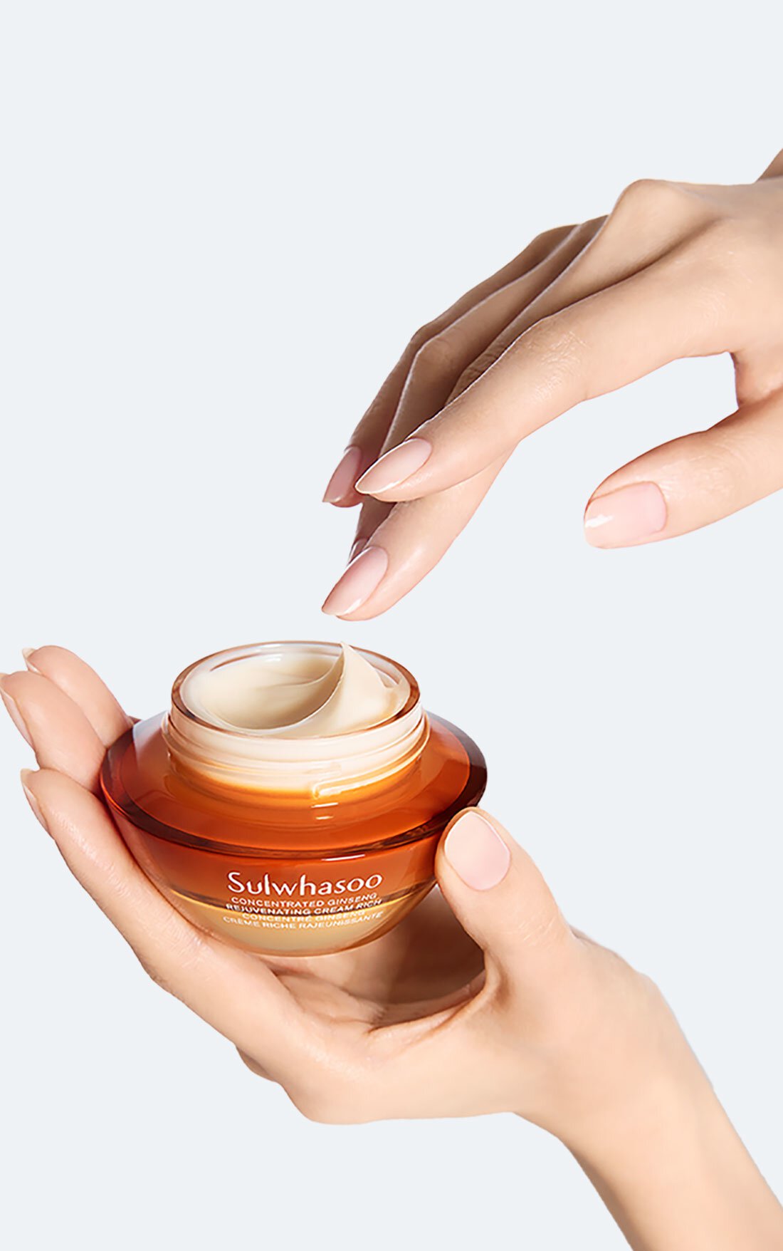 CONCENTRATED GINSENG REJUVENATING CREAM RICH