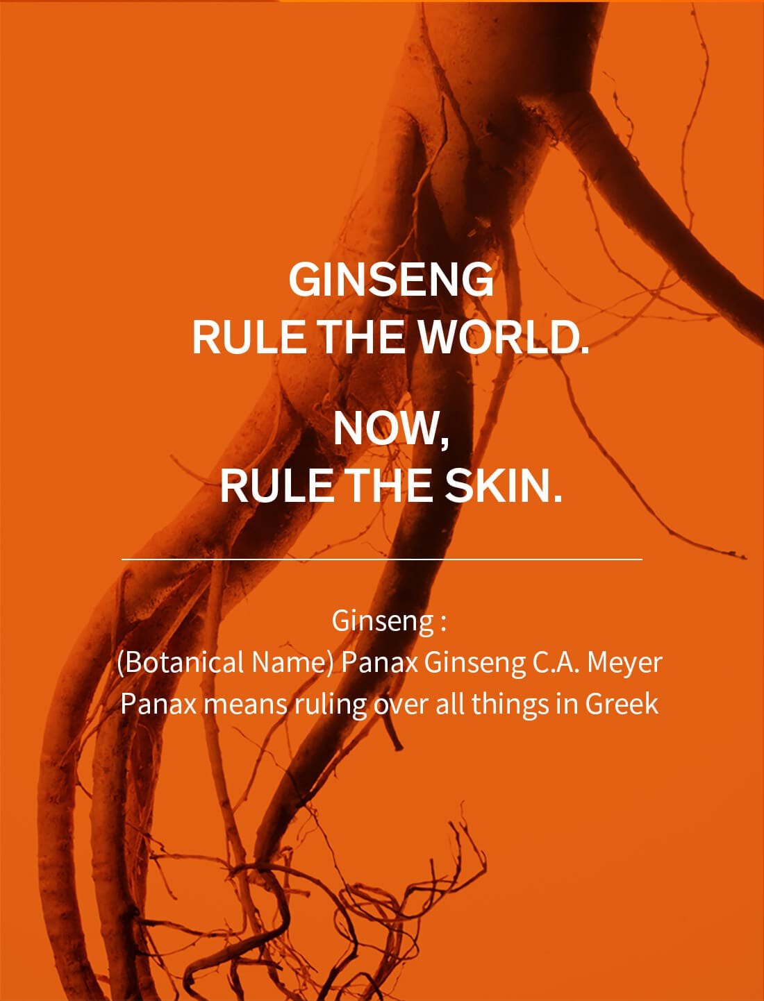 ginseng rule the world.now, rule the skin.Ginseng : (Botanical Name) Panax Ginseng C.A. Meyer Panax means ruling over all things in Greek