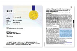 Certificate of Aged Cell Targeting Technology