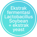 Ekstrak fermentasi Lactobacillus Soybean + ekstrak yeast