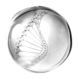 修護防禦 人參籽脂質精萃™