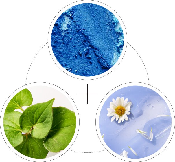 Blue Chamomile Flower Extract 