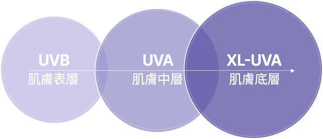 UVB 肌膚表層 UVA 肌膚中層 XL-UVA肌膚底層