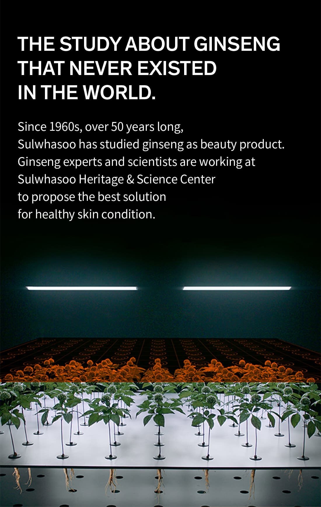 the study about ginseng that never existed in the world.Since 1960s, over 50 years long, Sulwhasoo has studied ginseng as beauty product. Ginseng experts and scientists are working at Sulwhasoo Heritage & Science Center to propose the best solution for healthy skin condition.