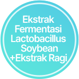 Ekstrak Fermentasi Lactobacillus Soybean+Ekstrak Ragi