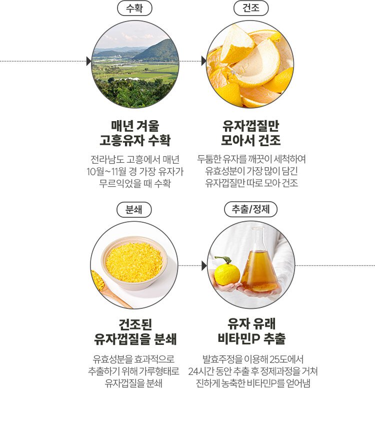 매년 겨울 고흥유자 수확 : 전라남도 고흥에서 매년 10월~11월 경 가장 유자가 무르익었을 때 수확 / 유자껍질만 모아서 건조 : 두툼한 유자를 깨끗이 세척하여 유효성분이 가장 많이 담긴 유자껍질만 따로 모아 건조 / 건조된 유자껍질을 분쇄 : 유효성분을 효과적으로 추출하기 위해 가루행태로 유자껍질을 분쇄 / 유자 유래 비타민P 추출 : 발효주정을 이용해 25도에서 24시간 동안 추출 후 정체과정을 거쳐 진하게 농축한 비타민P를 얻어냄
