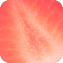 A close-up shot reveals the smooth, strawberry-pink texture of Laneige's Lip Sleeping Mask Strawberry Shortcake, showcasing its rich, moisturizing consistency ideal for overnight lip care.