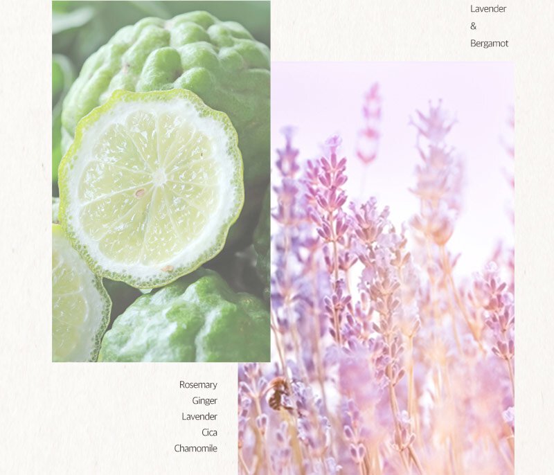 Lavender&Bergamot / Rosemary,Ginger,Lavender,Cica,Chamomile