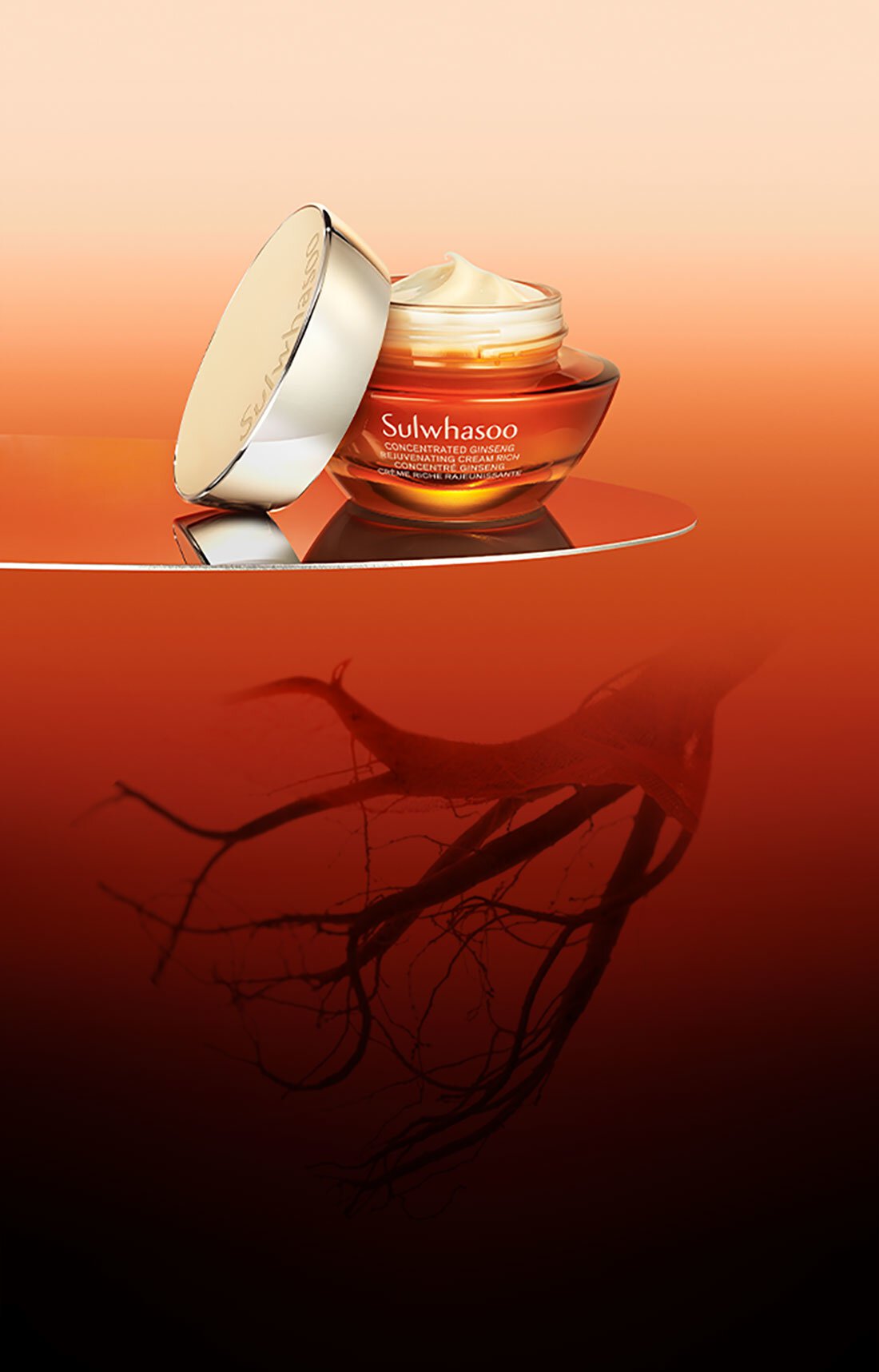 CONCENTRATED GINSENG REJUVENATING CREAM RICH