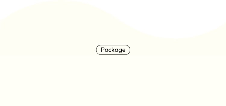Package