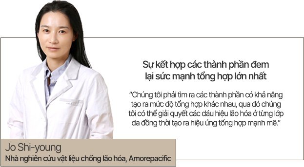 anti-aging skincare expert/Jo Shi-young