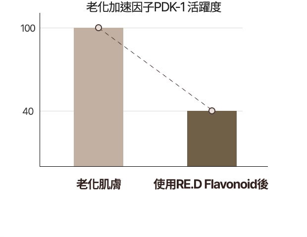 老化加速因子PDK-1 活躍度 - 老化肌膚 / 使用RE.D Flavonoid後