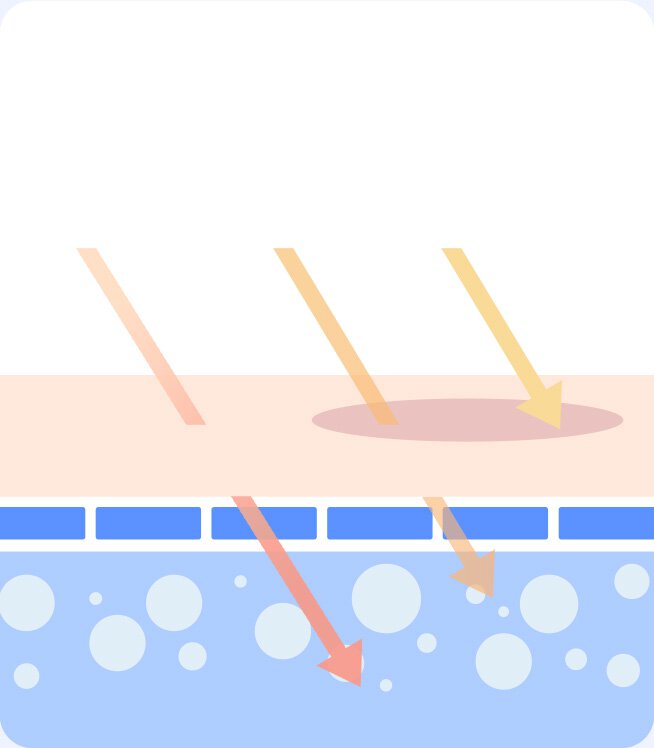 紫外線和紅外線可以穿透肌膚的水分屏障