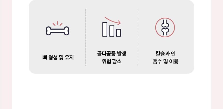 뼈 형상유지/골다공증 발생 위험감소/칼슘과 인 흡수 및 이용