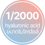 1/2000 hyaluronic acid ขนาดไมโครไซส์