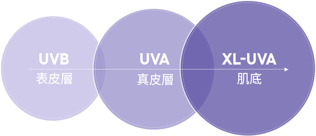 UVB 表皮層 / UVA 真皮層 / XL-UVA 基底層