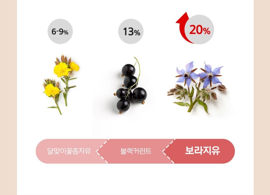 감마리놀렌산 함유량 차이 달맞이꽃종자유 / 6~9% 블랙커런트 / 13% 보라지유 / 20% 