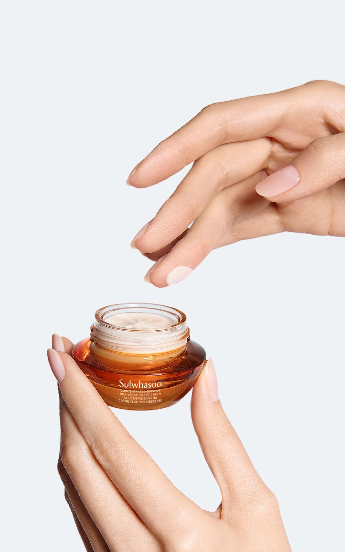 CONCENTRATED GINSENG REJUVENATING CREAM RICH